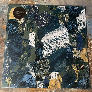 The Horse Company – Calypso