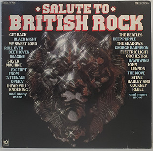 Various – Salute To British Rock LP 12" (Прайс 50391)