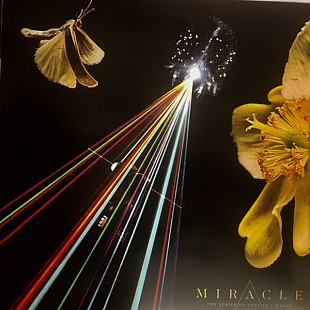 New Miracle (11) – The Strife Of Love In A Dream