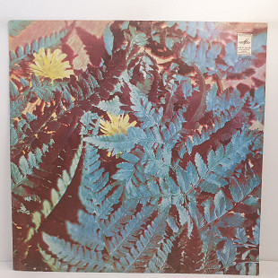 Алиса Фрейндлих – Поет Алиса Фрейндлих LP 12" (Прайс 50288)
