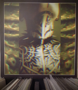 Schacke – Welcome To The Pleasure Dome