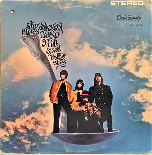 Sky Saxon Blues Band – A Full Spoon Of Seedy Blues US Rei