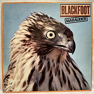 Blackfoot - Marauder - 1981. (LP). 12. Vinyl. Пластинка. UK.