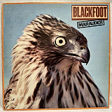 Blackfoot - Marauder - 1981. (LP). 12. Vinyl. Пластинка. UK.