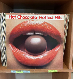 Hot Chocolate – 20 Hottest Hits (20 самых популярных хитов), 1979, F 667 165, Germany (Выглядит VG