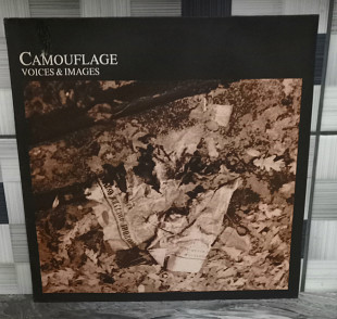 Camouflage ``Voices&Images``