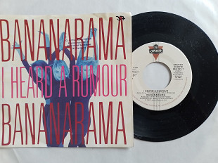 Bananarama I Heard ARumour/Clean Cut Boy (party size) singlr