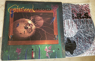 Caterwaul – Pin & Web ( USA ) LP