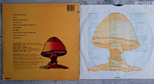 THE ALLMAN BROTHERS BAND BROTHERS OF THE ROAD ( ARISTA AL 9564 ) SC 1981 USA