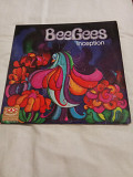 Bee Gees/inception/1970 2LP