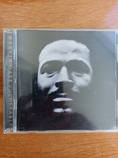 Marvin gaye vulnerable