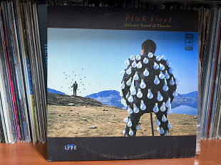 Pink Floyd Delicate Sound of Thrunder