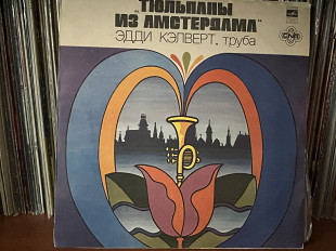 Тюльпаны из Амстердама