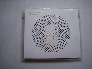 The Pineapple Thief ( KSCOPE )