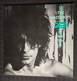 The Waterboys 84 "A Pagan Place" Vg+/Vg+(Без Ex)