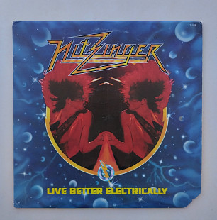 Nitzinger – Live Better Electrically