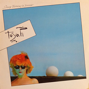 Toyah - Sheep Farming In Barnet