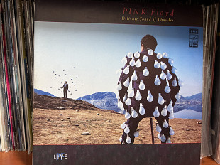 Pink Floyd Delicate Sound of Thunder