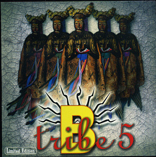 B-Tribe (Spain-Germany) – 5 (2003)