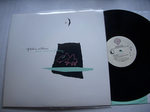 Peter Cetera ( ex. Chicago )