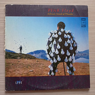 Pink Floyd Delicate sound of thunder