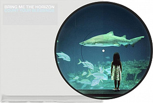Bring Me The Horizon - Count Your Blessings Repented (Picture Disc) (LP) Vinyl Harbor - Вінілові пл