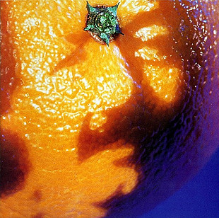 Phish – A Picture Of Nectar ( USA )
