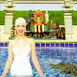 Stone Temple Pilots – Tiny Music...Songs From The Vatican Gift Shop ( USA )