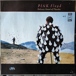Pink Floyd –Delicate Sound Of Thunder № 1