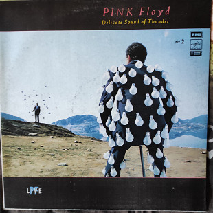 Pink Floyd – Delicate Sound Of Thunder № 2