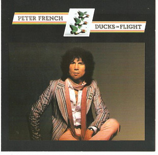 Peter French – Ducks In Flight