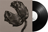 Pet Shop Boys - Release (Remastered) (LP) Vinyl Harbor - Вінілові платівки Мукачево