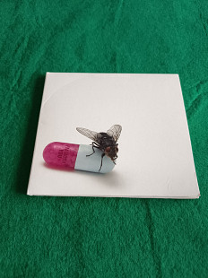 Red Hot Chili Peppers - I'm With You (2011) original cd