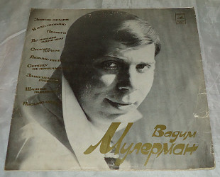 Виниловая пластинка Вадим Мулерман