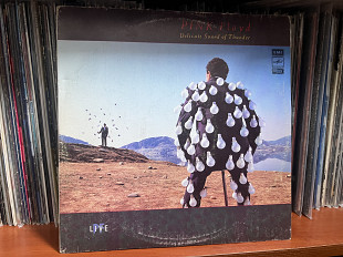 Pink Floyd Delicate Sound of Thrunder