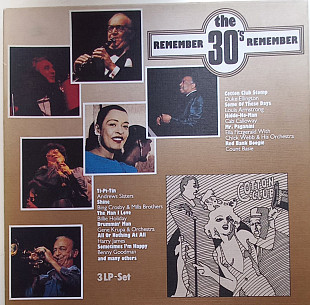Various /Remember The 30's/ 3 x Vinyl, LP/Scana/