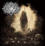 Naglfar - Harvest (Limited Edition) (Gold Coloured) (LP)