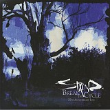 Вінілова платівка Staind - Break The Cycle