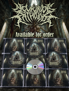 Neurologic Pathology - Born Of Pathology