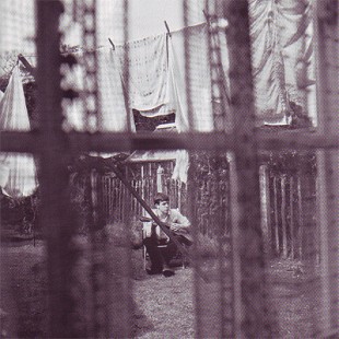 Paul McCartney – Chaos And Creation In The Backyard ( USA )