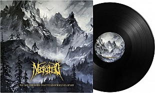 Necrotted - We Are The Gods That Tear Ourselves Apart (LP)