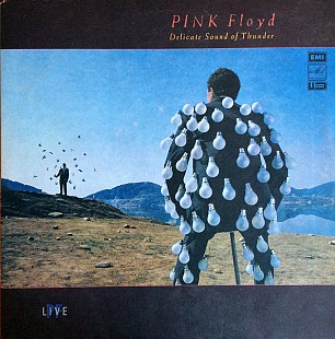 Pik Floyd - Delicate sound of Thunder (мелодия)