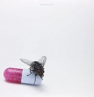 Red Hot Chili Peppers - I'm With You (Reissue) (Repress) (2 LP)