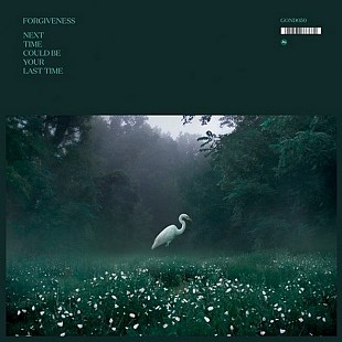 Forgiveness — Next Time Could Be Your Last Time (LP, 2022)
