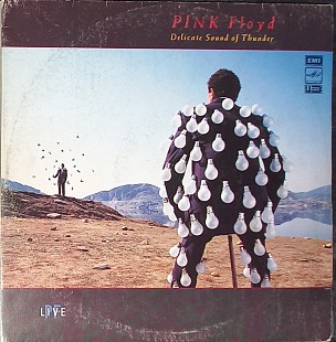 Pink Floyd - Delicate sound of thunder 1, 2 - 2LP