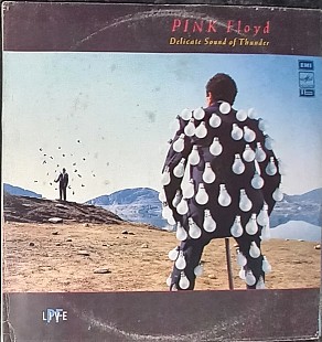 Pink Floyd - Delicate sound of thunder 1, 2 - 2LP