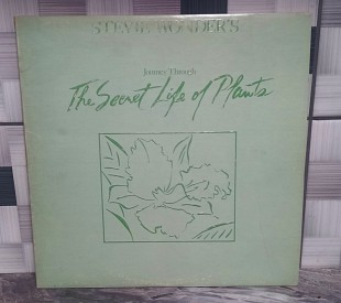 Stevie Wonder – Journey Through The Secret Life Of Plants (2)