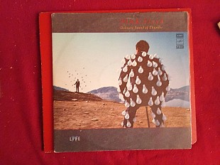 Pink Floyd – Delicate Sound Of Thunder