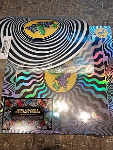 New King Gizzard And The Lizard Wizard – Field of Vision '25 12 lp