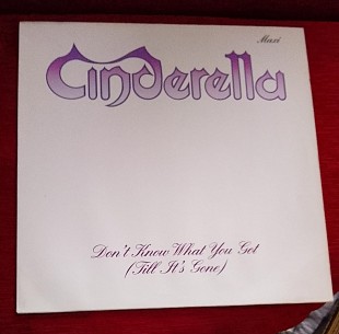 Cinderella "Don't know what you got"